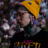 Beanie HH logo